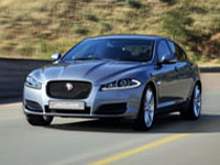 XF is a purring kitty with claws