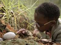 Oh, the things you'll discover in the New World!