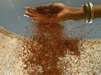 A journey through tea