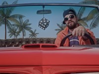 Bittereinder - Hartseer Gangster