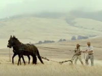 Hollard ad campaign combines quirk and colour to highlight key social initiatives