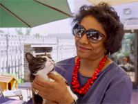 #BeautifulNews: A cappuccino and a dash of catnip - inside SA’s first cat café