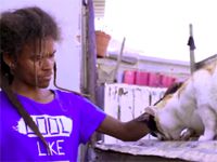 #BeautifulNews: The man sheltering hundreds of strays, even when he had no home