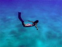 #BeautifulNews: This ocean warrior is turning the tide for South Africa