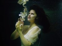 Sincerely Anne - 'Transcend'