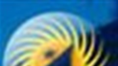 Celebrating water and dreams at the 10th Zanzibar Film Festival