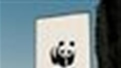 Disappearing panda highlights global warming