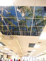 New restaurant design features are looking up