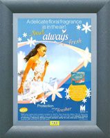 Keeping things fresh indoors