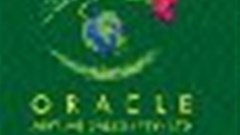 Celebrating an environmental Christmas