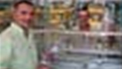 Pre-planning promotes perfect performance