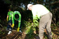 Build it and it will grow