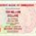 Zim govt worried by rejection of local currency