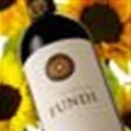 Initiative to train over 2000 wine fundis for 2010