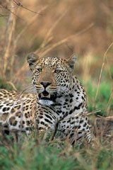 DStv Getaway Show &quot;the perfect platform for marketers&quot;