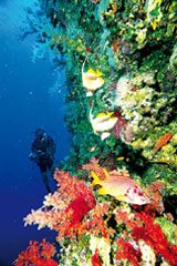 DStv Getaway Show &quot;the perfect platform for marketers&quot;