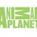 New look for Animal Planet