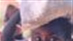 Zimbabwe: Economic crisis hits children harder