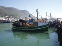 Woolies and WFF in SASSI joint venture