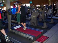 Diamond Status treadmills in Planet Fitness