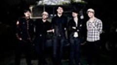 Download new Zebra & Giraffe single for free