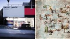 Loeries expo travels to Natal Museum