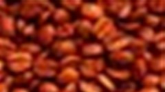 Uganda's coffee factory first