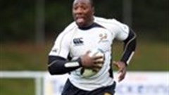 Franks to calm the Beast?