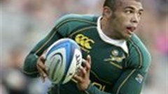 Medical team fixing Habana