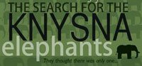 Search for the Knysna Elephants at the Labia