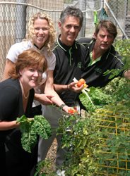 Admiring Goodyear’s thriving vegetable garden are (from left) Alison Jacobs (Public Relations Officer, Khangela Hygiene and Industrial Services), Rene van der Merwe (Risk Control Manager, Goodyear), Howard Bulkin (Manager: Green Projects, The Waste Trade Company) and Louis Rossouw (Special Projects Manager: The Waste Trade Company). The ‘pots’ in which the vegetables grow are made from old tyres, while left over canteen food is used as compost.