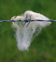 Image courtesy of . Credit: Simon Howden