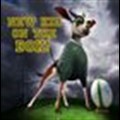 Meet Bokkie, the Boks' new kid