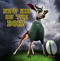 Meet Bokkie, the Boks' new kid