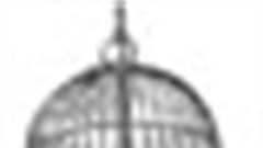 Kidnapped Woolies lovebirds: ambush marketing at its best?