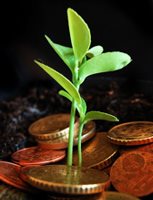 Image courtesy of Credit: djcodrin