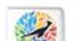 Launch your Loerie with SpaceStation