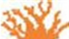 No scholarships for Highway Africa 2010