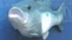 Findus fish shake their booties