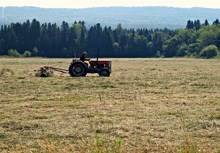 Image courtesy of<p>Credit: vitasamb2001