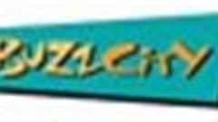 BuzzCity announces partnership with MediaMind