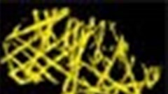 Vodadome hosts 2010 Africa Photographic Awards ceremony