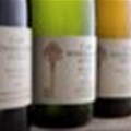 Cape Winemakers Guild Showcase - get out your glasses