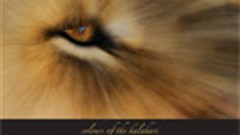 Colours of the Kalahari launched