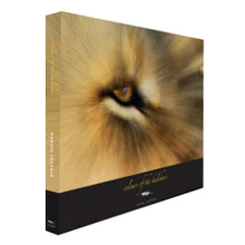 Colours of the Kalahari launched