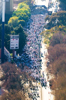 MSCSPORTS makes sport count in August