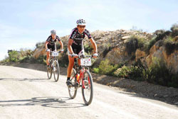 Robertson now a ladies' man