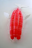 South African design wins international competition