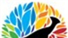 Official 2010 Loeries rankings