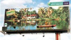 Costa Rica's living billboards